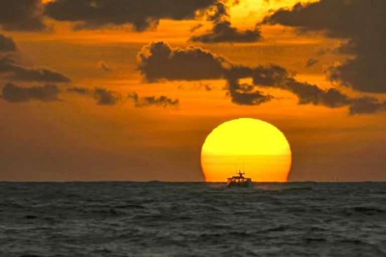 Black Dog Fishing Charter