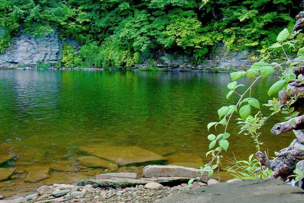 Salmon River