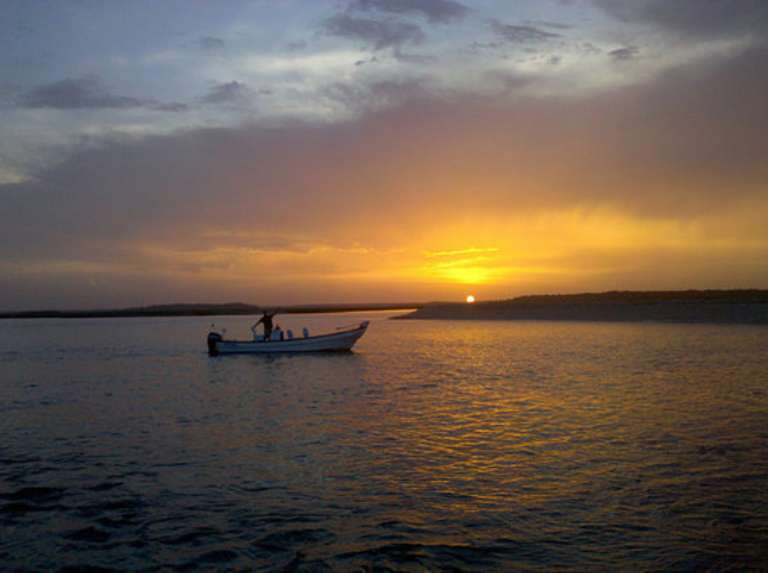 IslandAce Adventure Tours