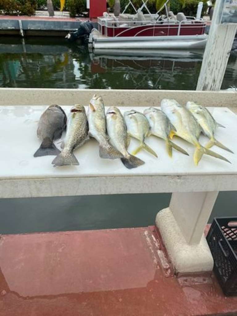 Lyin' Hawaiian Private Charters