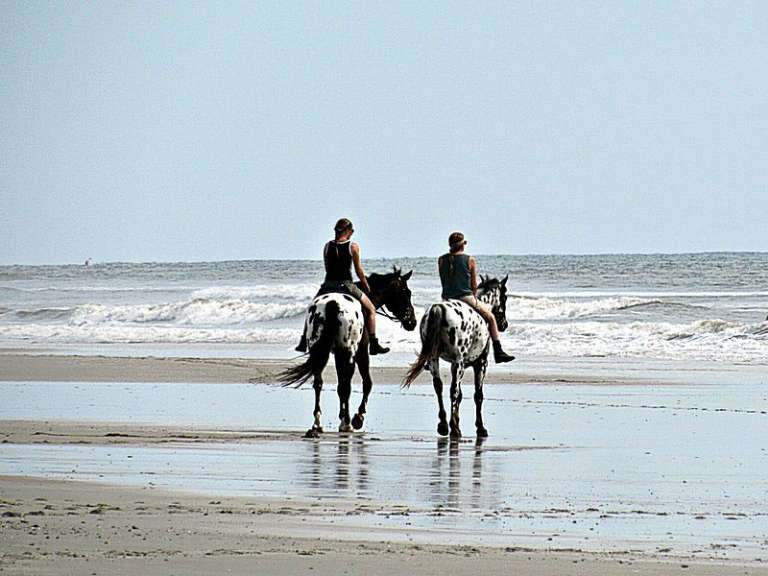 Amelia Island State Park