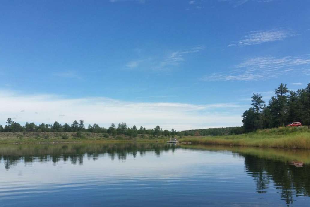Fool Hollow Lake Recreation Area