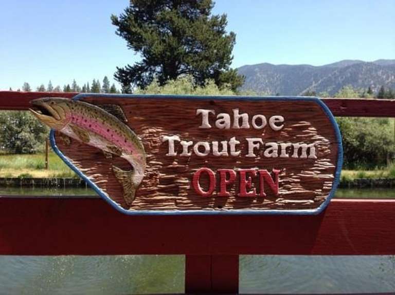 Tahoe Trout Farm