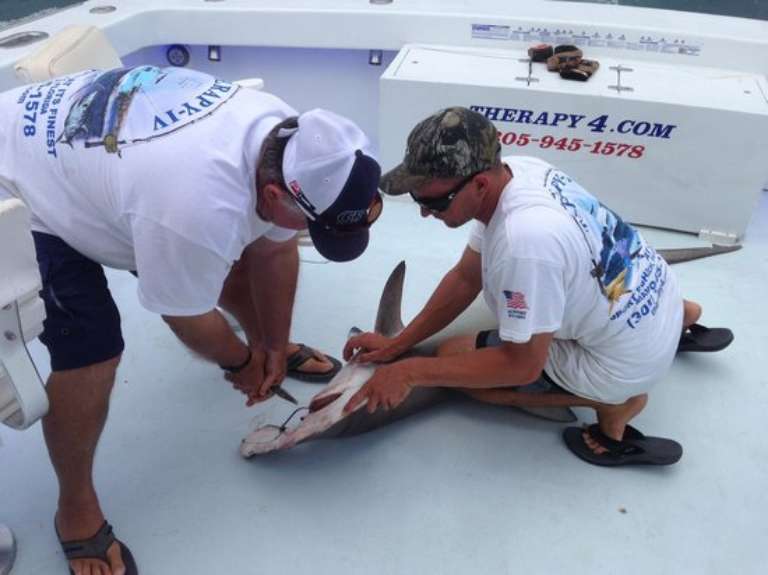 Sportfishing Miami Therapy 4