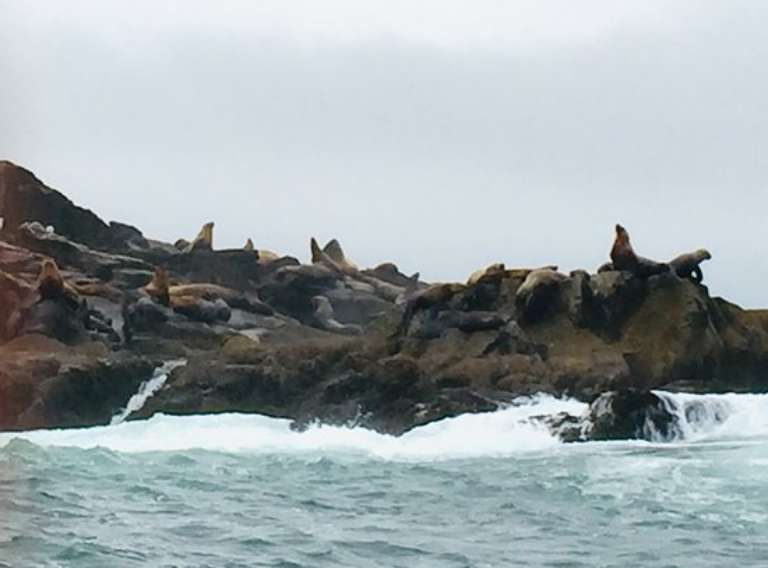 Horizon West Guides and Outfitters