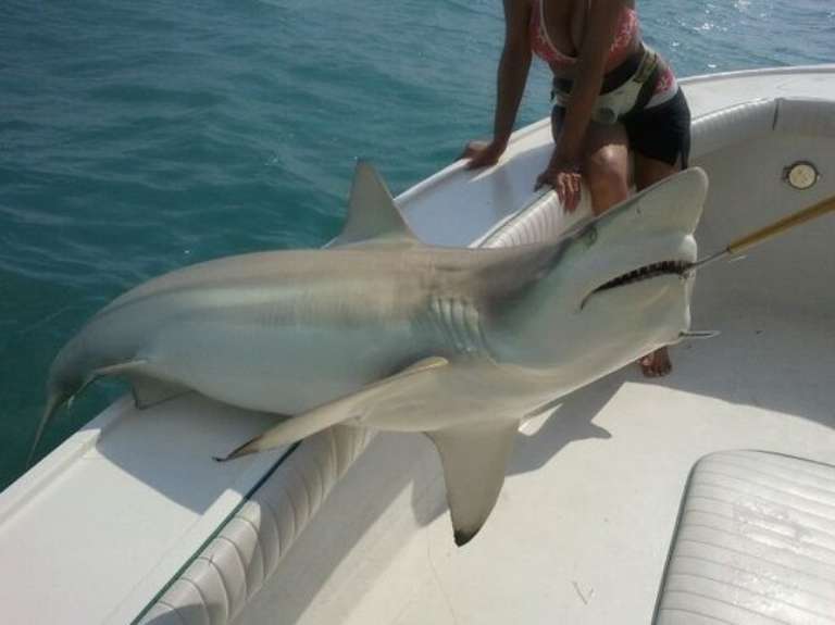 Captain Moe's Lucky Fleet