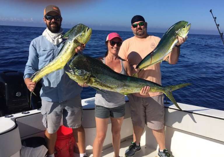 Compass Rose Charters