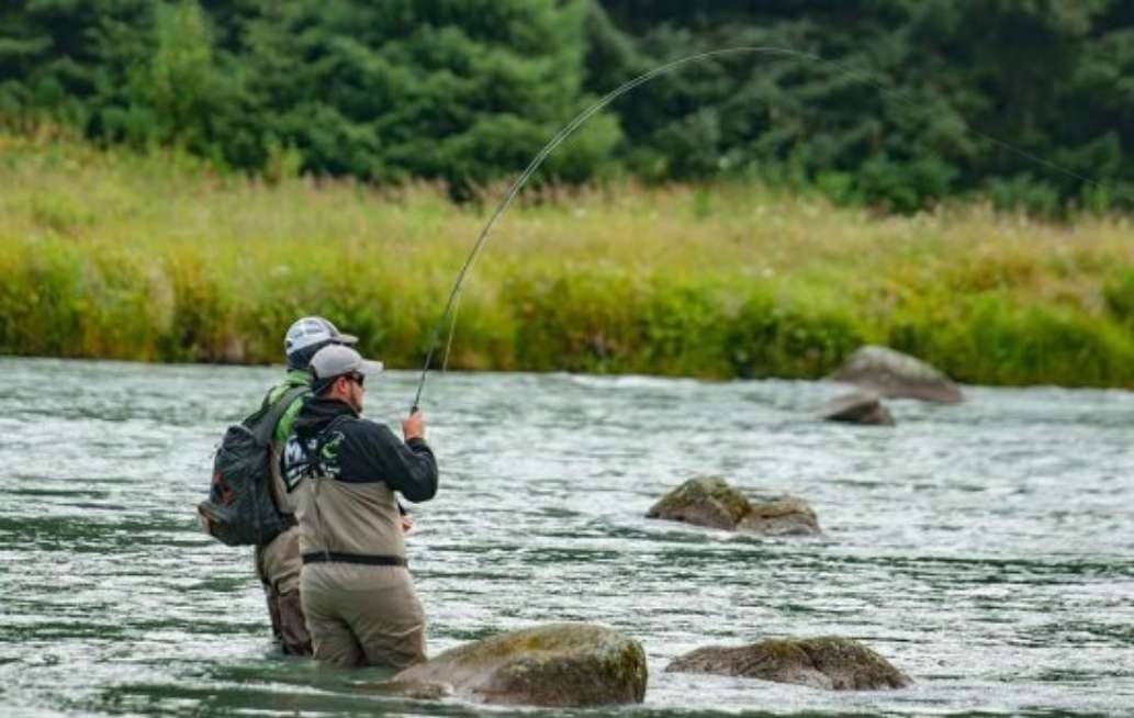 Fly Guides