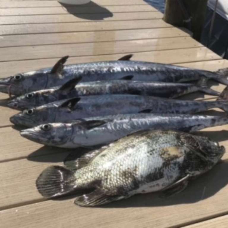 On a Mission Fishing Charters