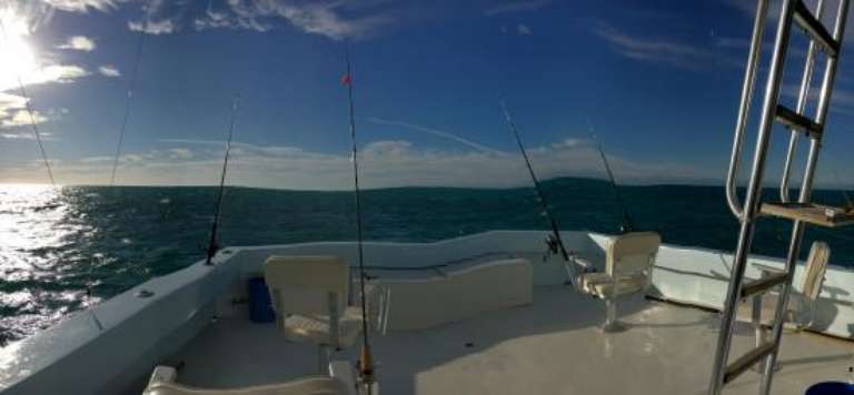 Gotcha Sport Fishing