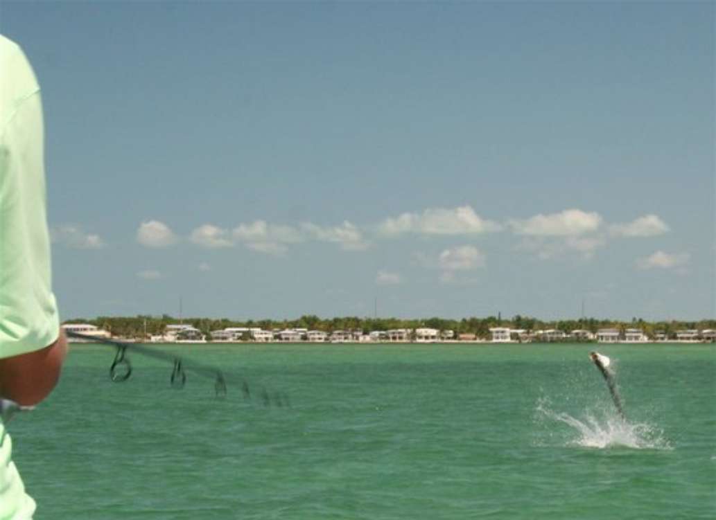 Florida Keys Flats Fishing