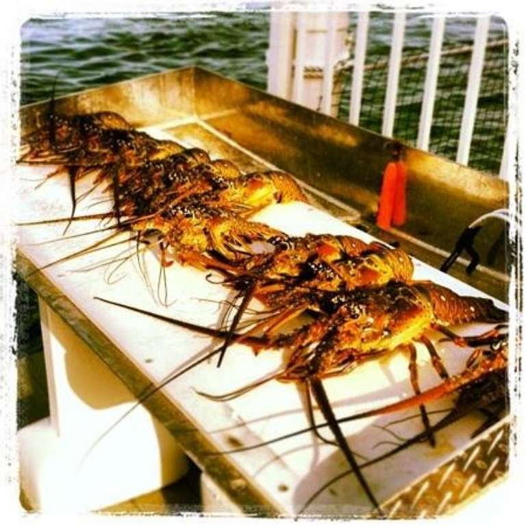 Angling Adventures with Captain Rich Smith