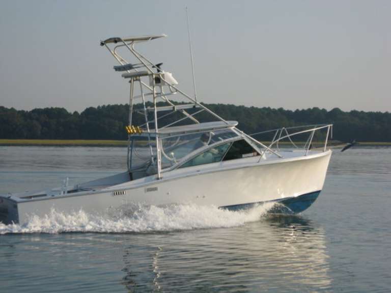 Bulldog Fishing Charters