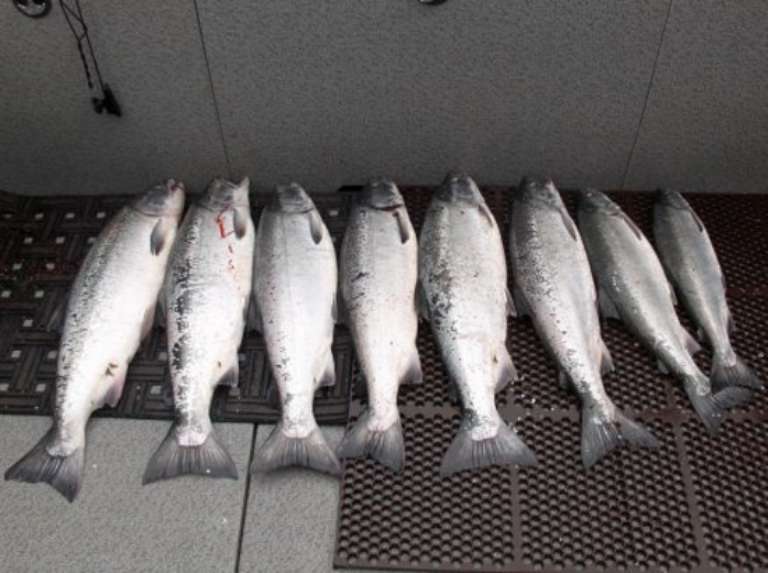 Ear Mountain Charters