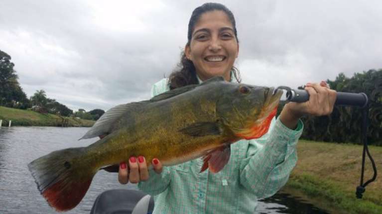 Bass Online Fishing Guides