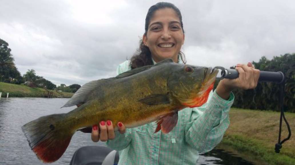 Bass Online Fishing Guides