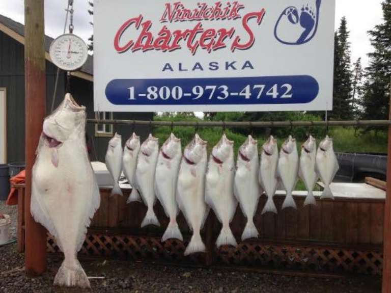 Ninilchik Charters - Day Tours