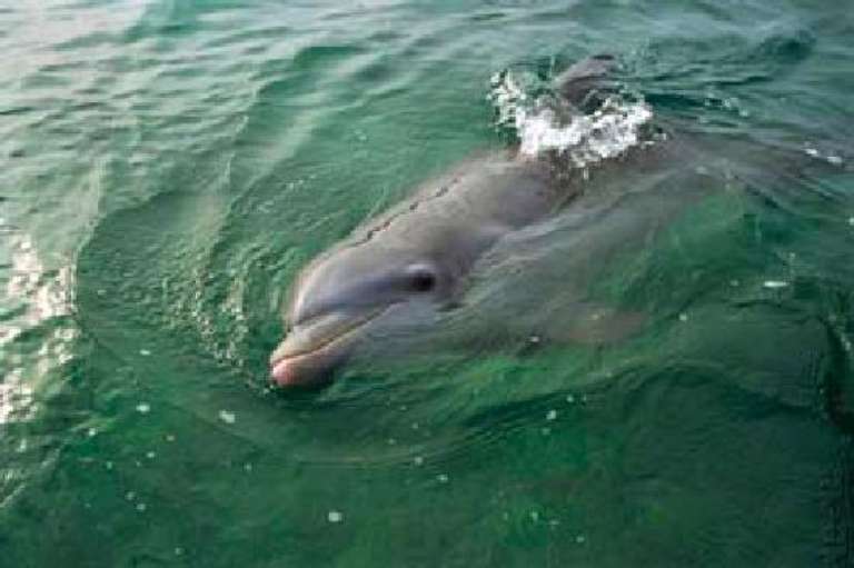 Double R's Fishing and Tour Co