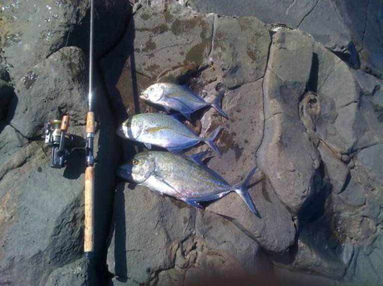 Maui Shore Fishing Guides