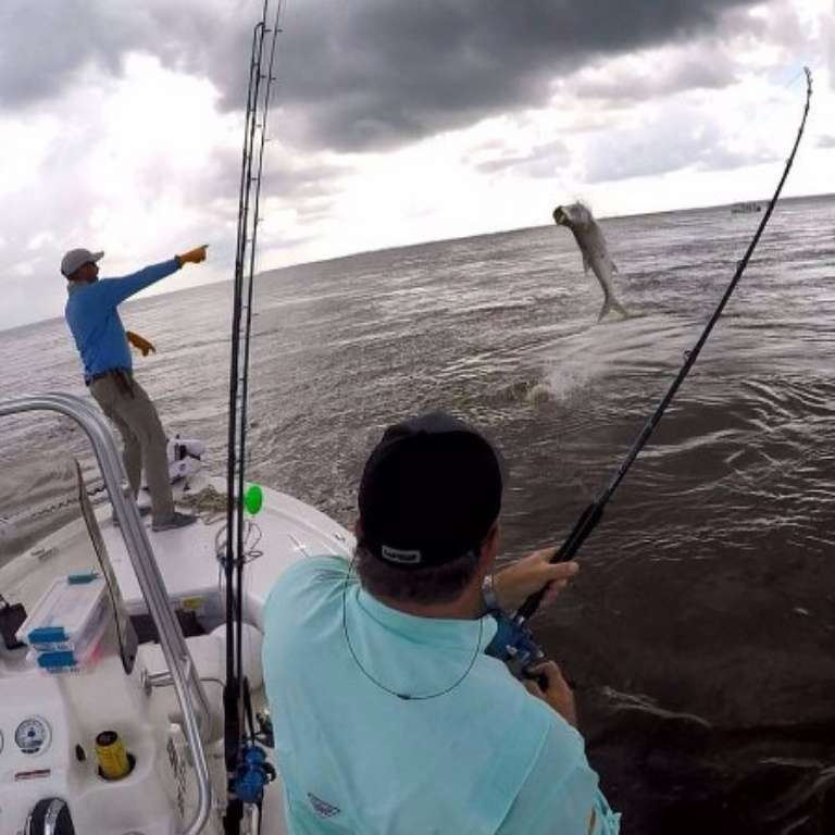 The Georgia Fishing Company