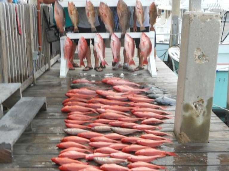 LongShot Private Charter Fishing