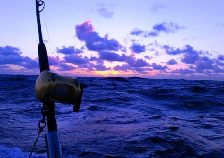 Captain Don's Sportfishing