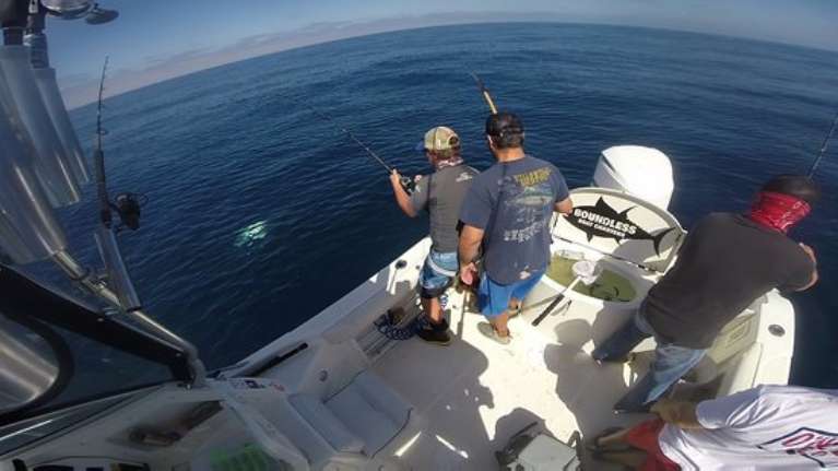 Boundless Boat Charters