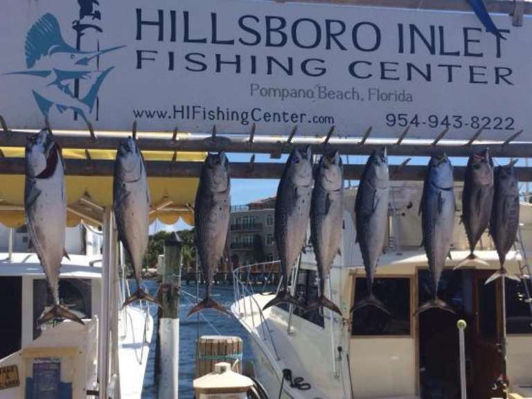 BOLO Sport Fishing Charters