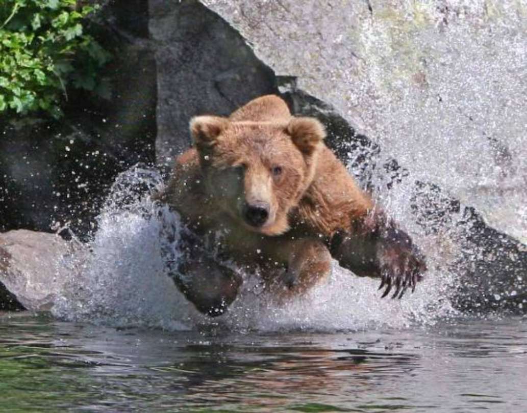 High Adventure Air