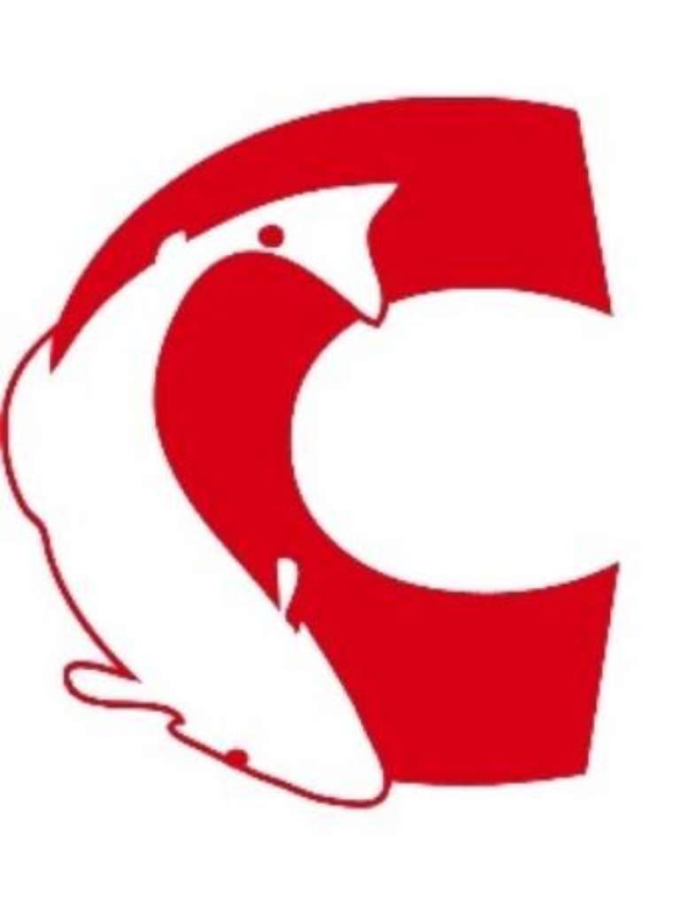 Charleston Fishing Adventures