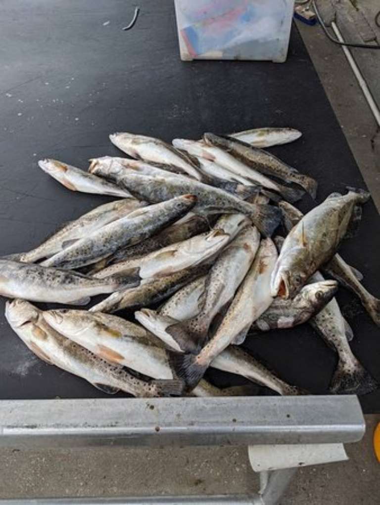 New Orleans Style Fishing Charters