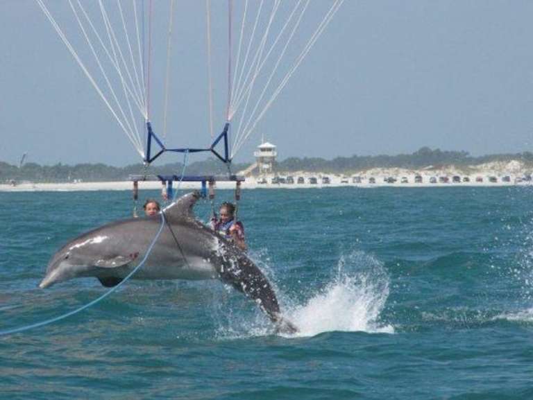 Ponce Inlet Watersports