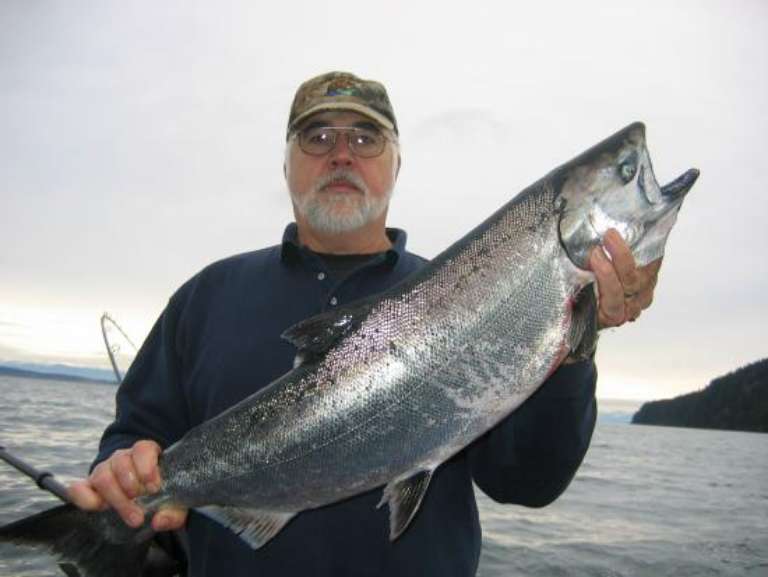 All Star Fishing Charters