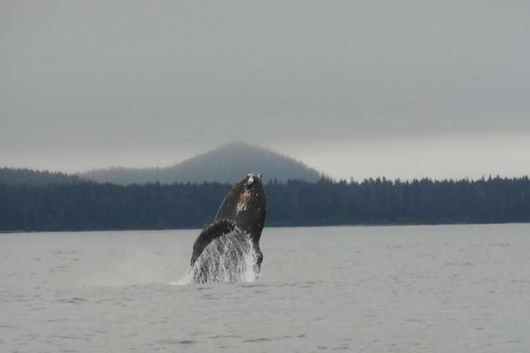 S.E. Alaska Outdoor Adventures