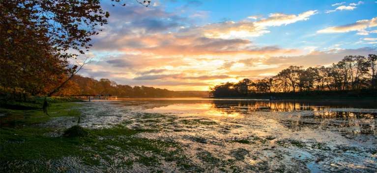 Rainbow Drive Resort