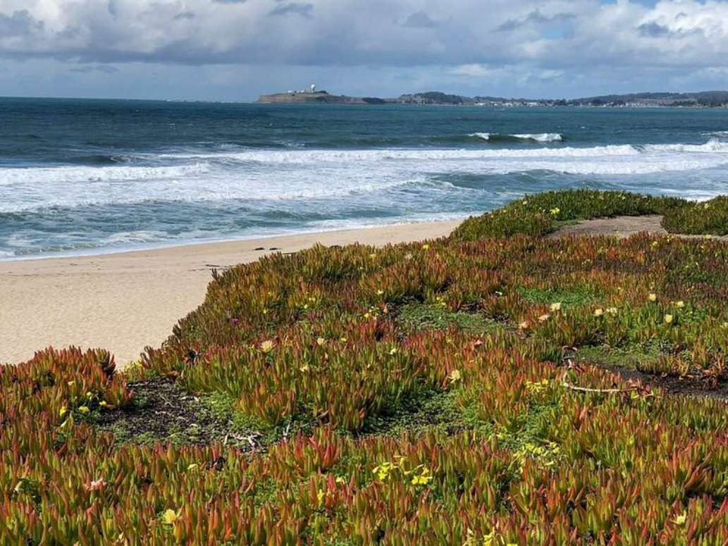 Half Moon Bay State Beach
