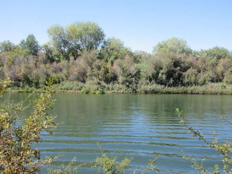 Woodson Bridge State Recreation Area