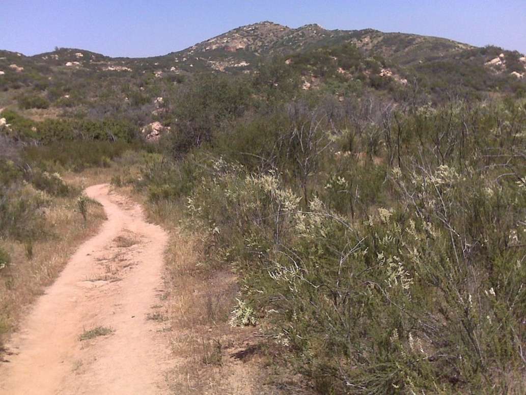 Daley Ranch
