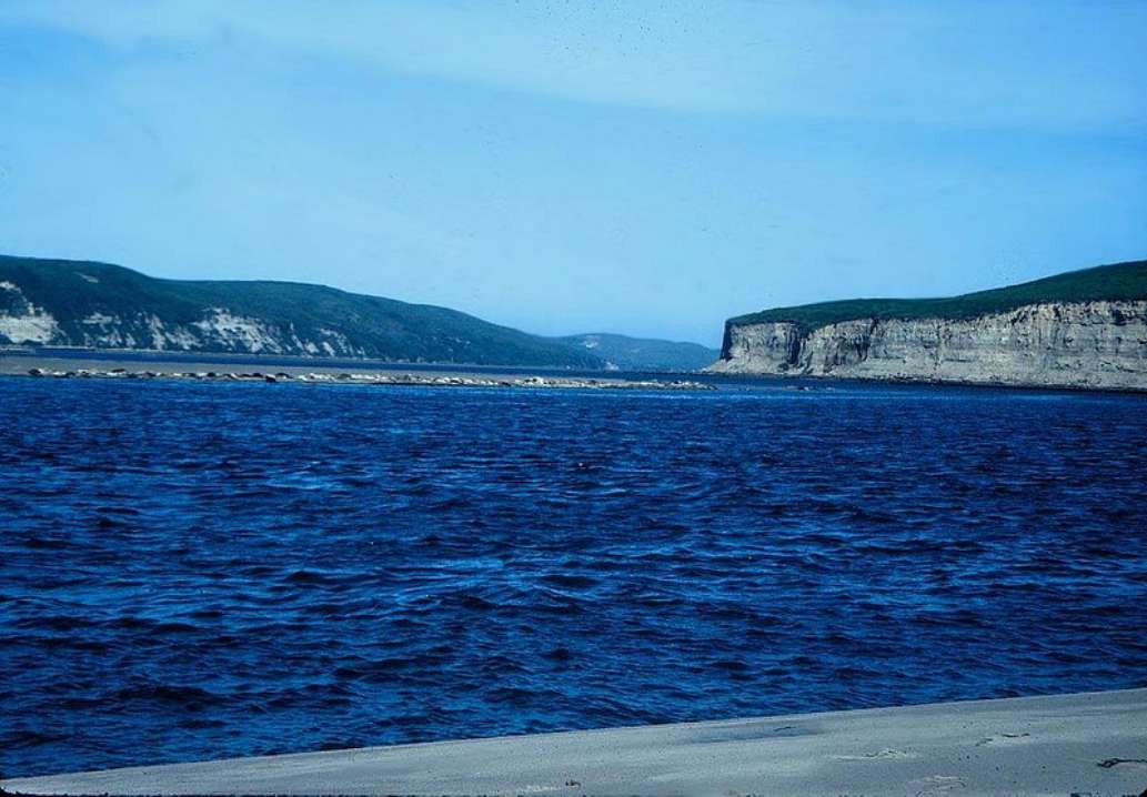 Limantour Beach
