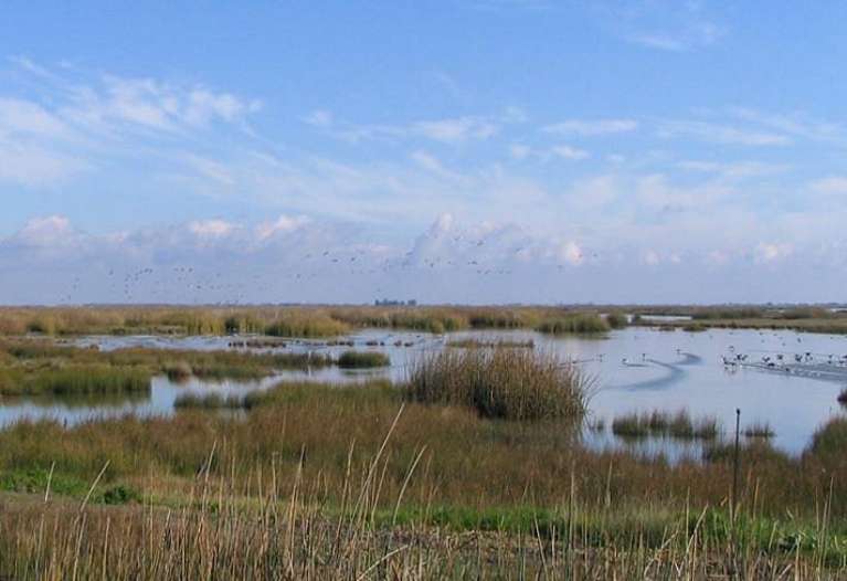 San Luis National Wildlife Refuge