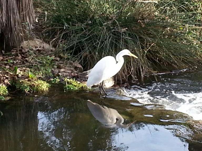 El Dorado Nature Center