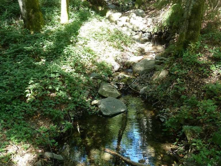 Uvas Canyon County Park