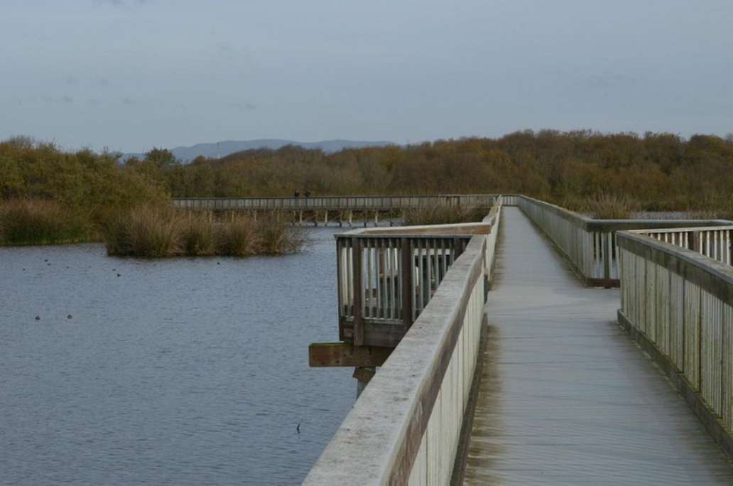 Oso Flaco Lake