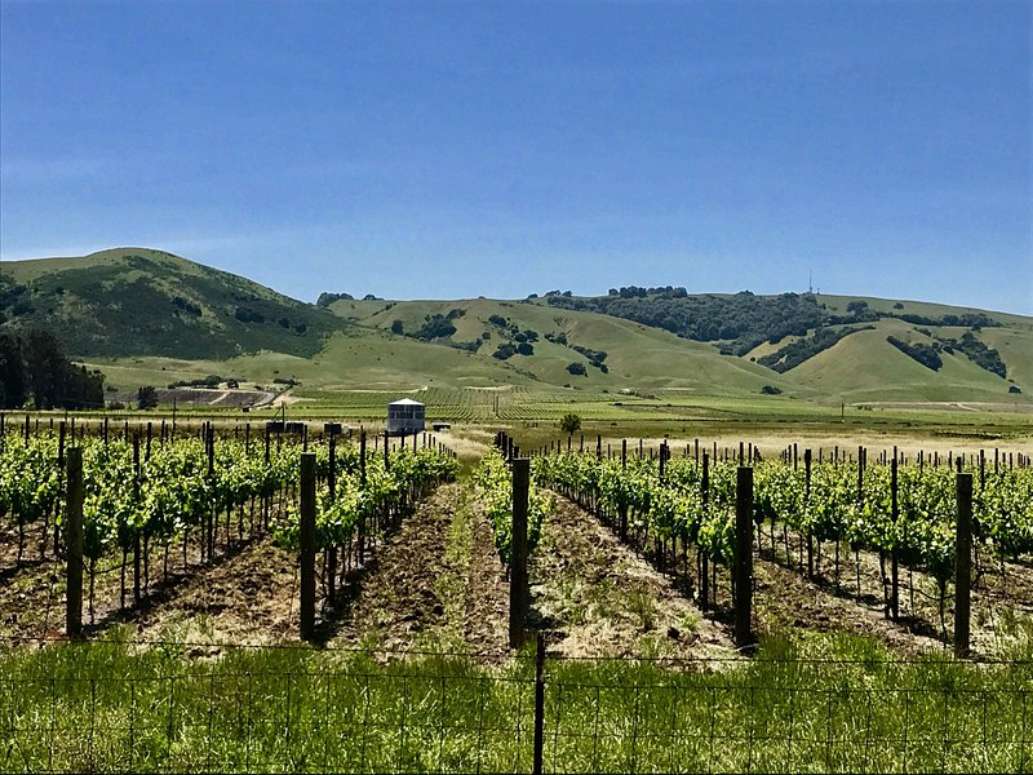 Sonoma Valley