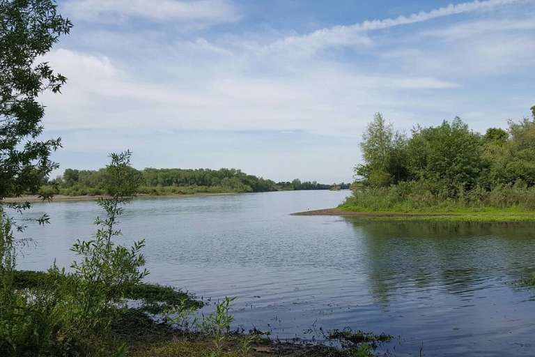 Bidwell-Sacramento River State Park