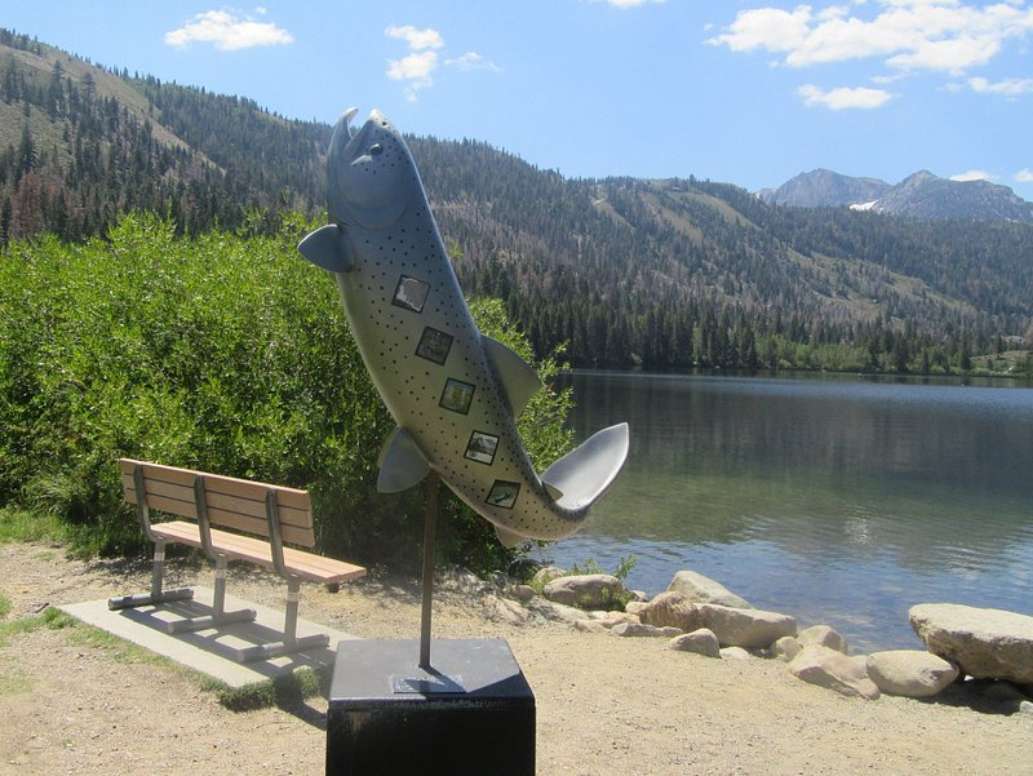 Gull Lake Park