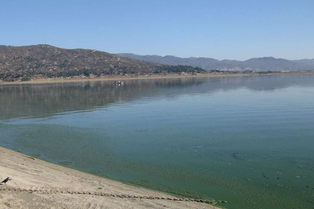 Lake Henshaw Resort