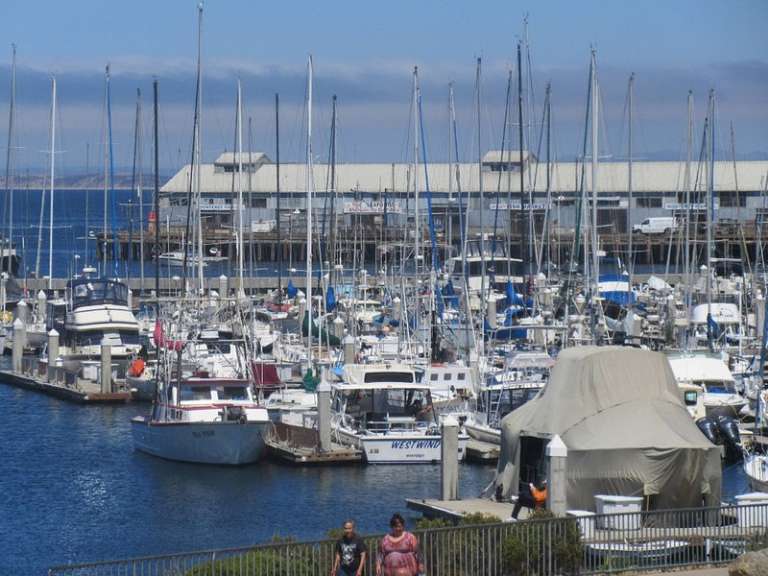 Monterey Municipal Wharf 2