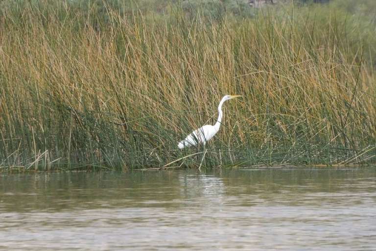 Havasu National Wildlife Refuge