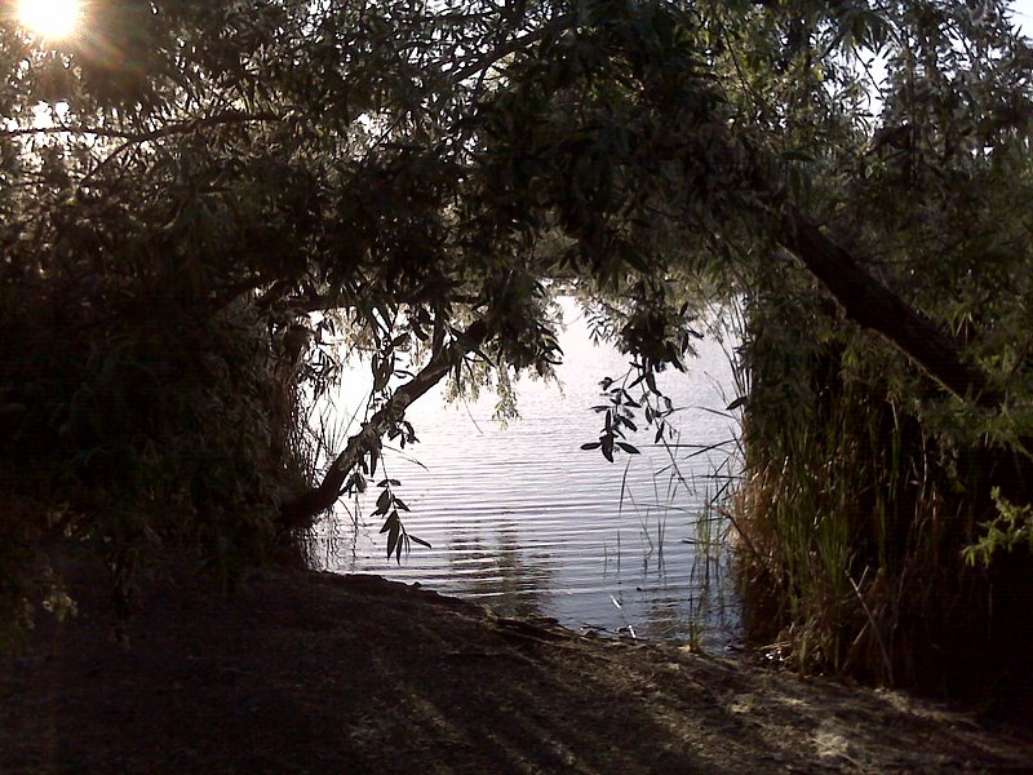 Guajome County Park